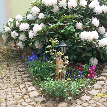 デーベルンGiesis Wohlfuehloaseアパートメント エクステリア 写真