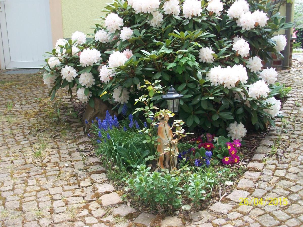 デーベルンGiesis Wohlfuehloaseアパートメント エクステリア 写真